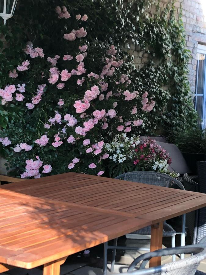 Ferienwohnung In Werder Havel Innenstadt Luaran gambar
